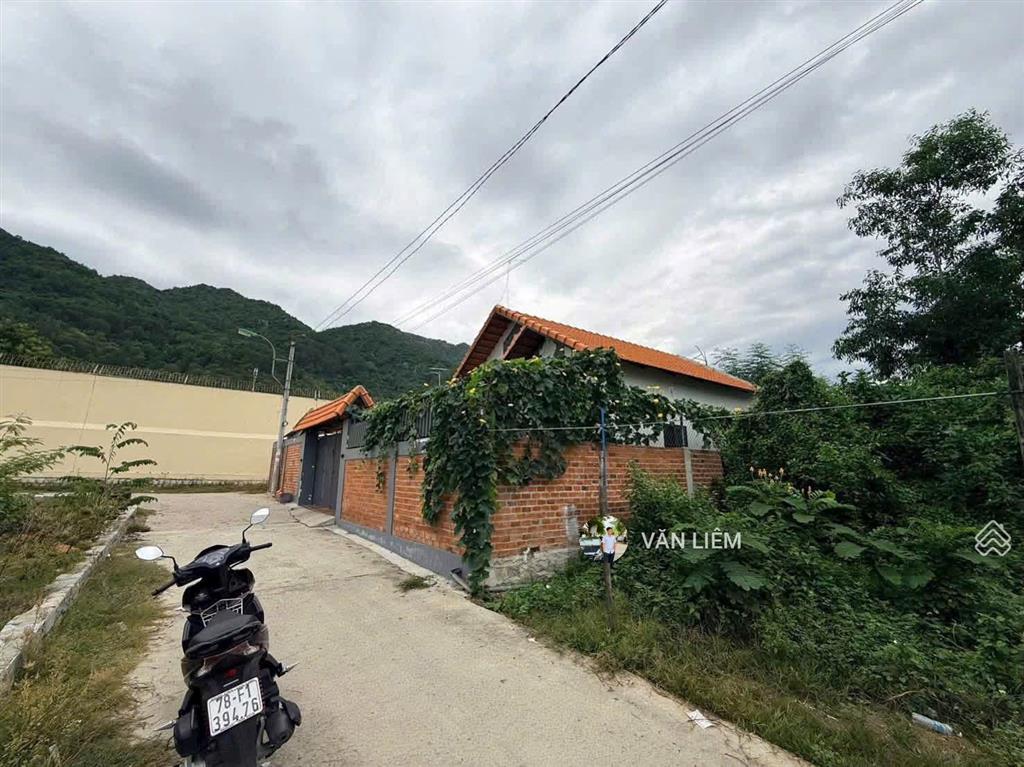 Phước đồng nam nha trang | đất ô tô vào tận nơi chỉ 1,4 tỷ phước đồng phường nam nh