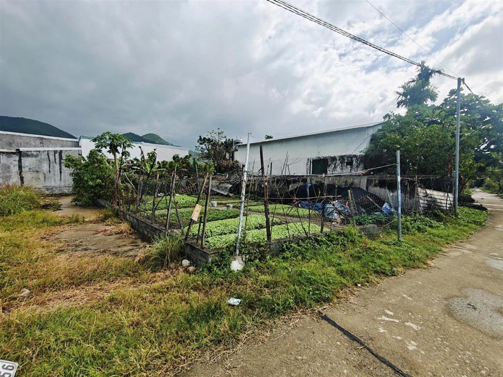 Đất phước đồng ngay đường bình hoà