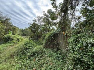 Siêu rẻ! đất nhuận đức siêu đẹp, đường xe hơi, sẵn 300m2 thổ cư, tiền năng sinh lời cao