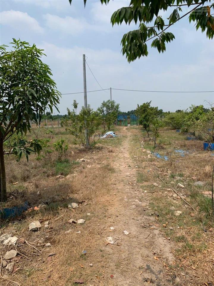 Cần bán gấp lô đất tâm huyết vì nhà có việc cần tiền. dt 2000m2 (21x92m) tân phú trung, củ chi