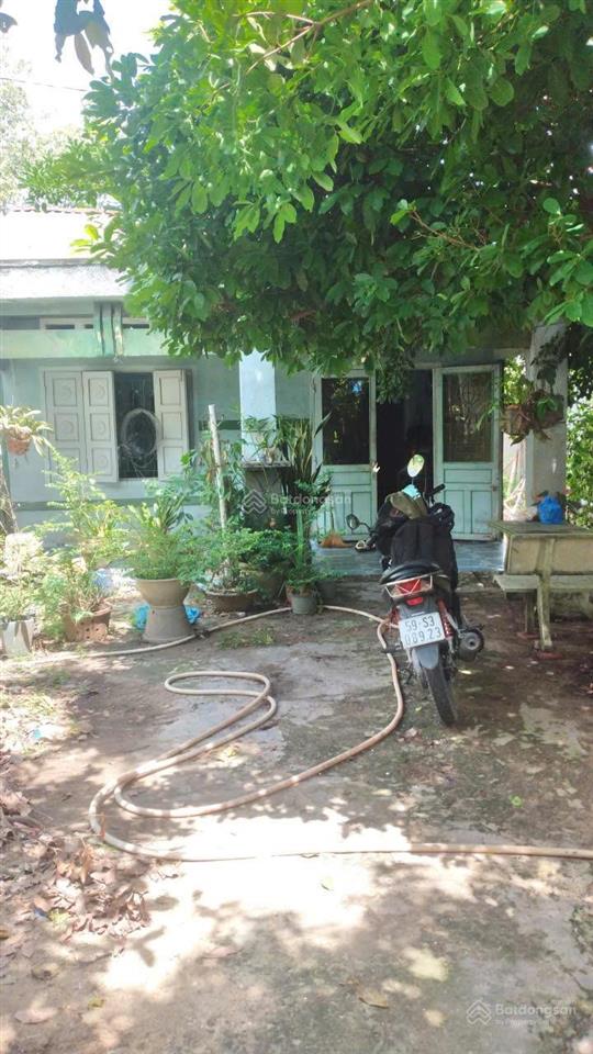 Siêu hiếm! bán gấp lô đất mặt tiền đường nguyễn thị rành, nhuận đức, củ chi 1629m2, siêu rẻ