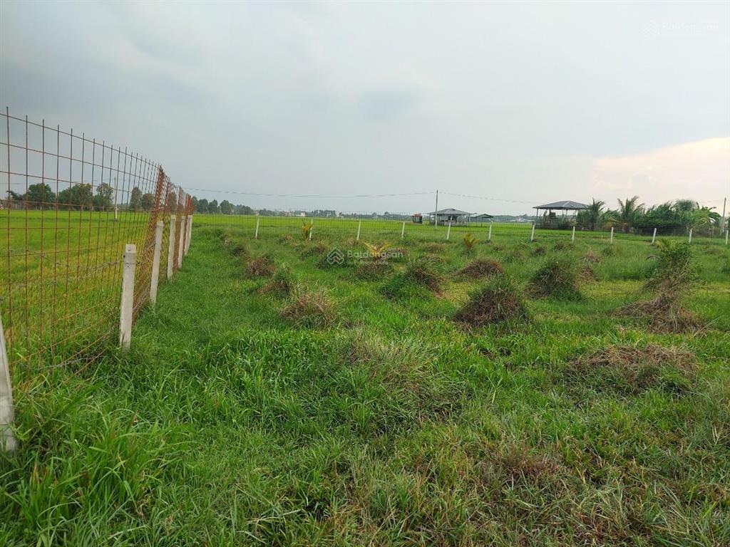Cần tiền bán gấp lô đất 6400m2, đường trần thị dậy, trung lập thượng, củ chi, đường ô tô