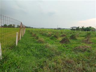 Cần tiền bán gấp lô đất 6400m2, đường trần thị dậy, trung lập thượng, củ chi, đường oto