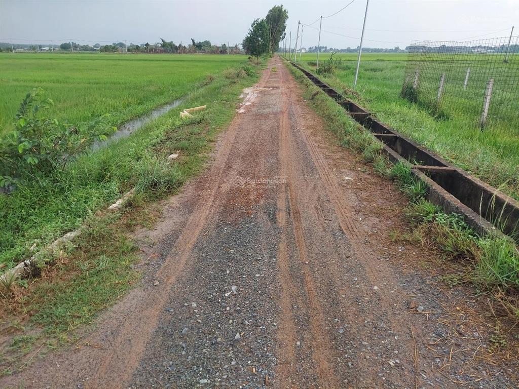 Cần tiền bán gấp lô đất 6400m2, đường trần thị dậy, trung lập thượng, củ chi, đường ô tô