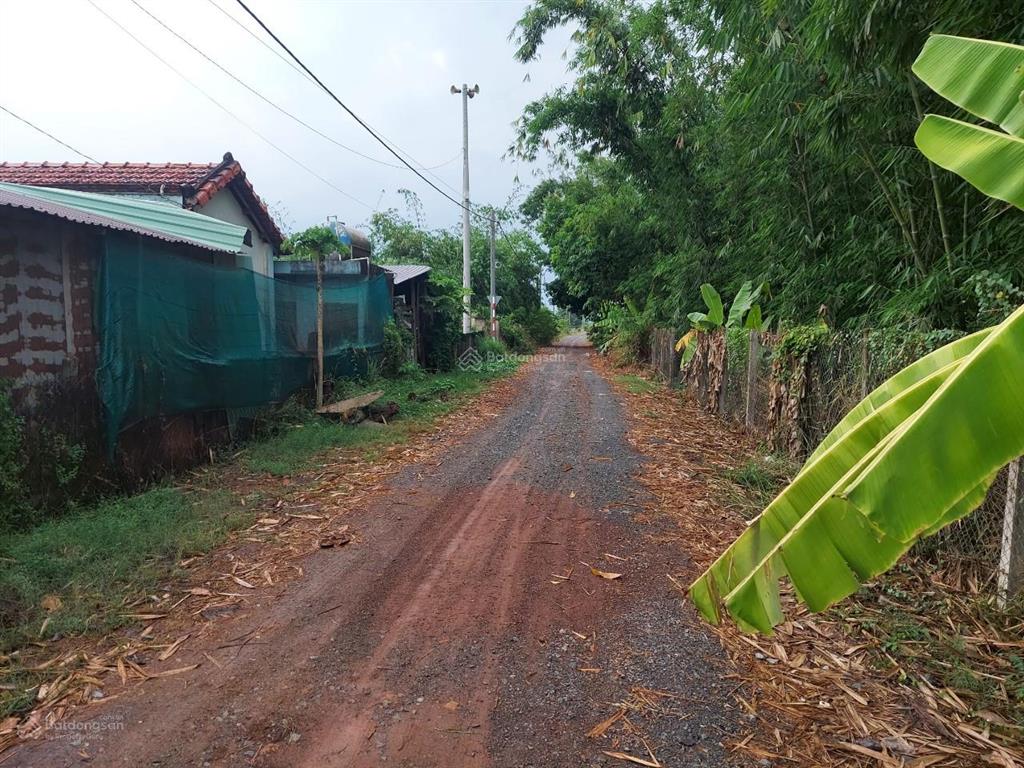 Cần tiền bán gấp lô đất 6400m2, đường trần thị dậy, trung lập thượng, củ chi, đường ô tô