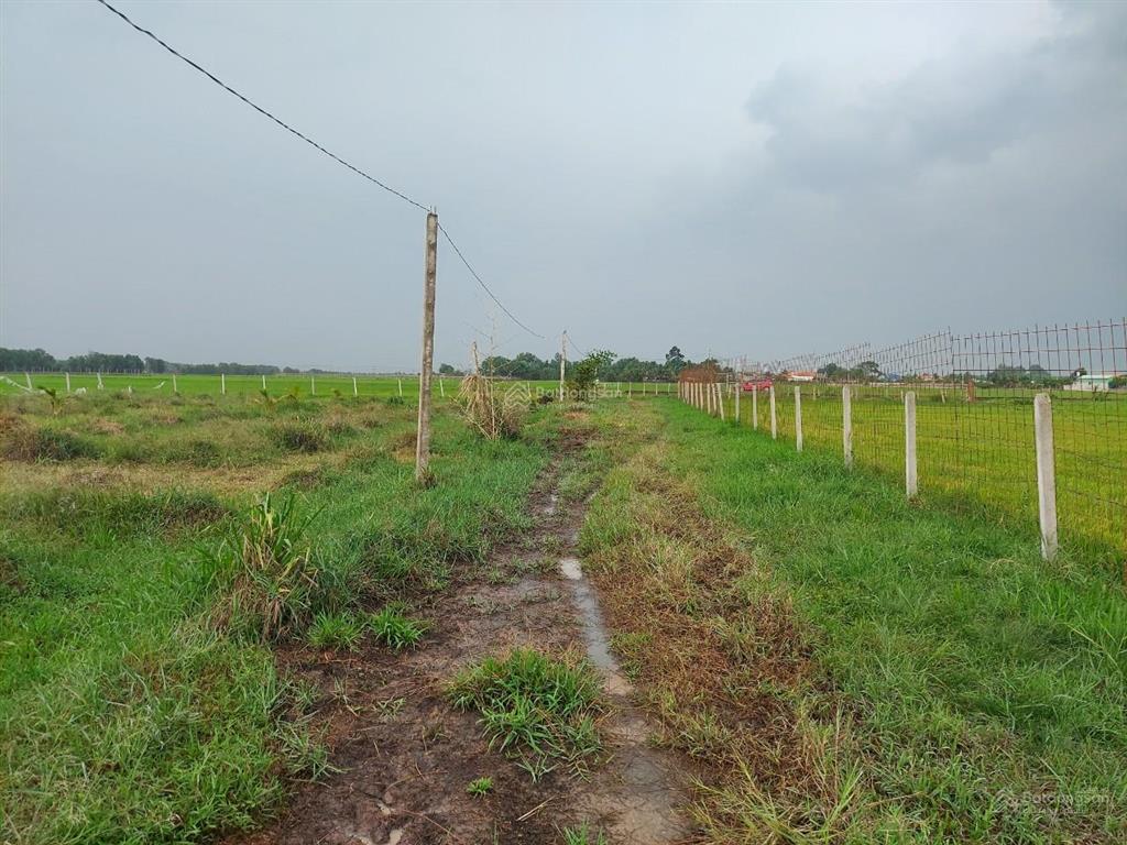 Cần tiền bán gấp lô đất 6400m2, đường trần thị dậy, trung lập thượng, củ chi, đường ô tô
