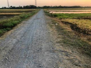 Bán đất củ chi giá tốt 4.800m² quy hoạch kdc thấp tầng cơ hội đầu tư hiếm có