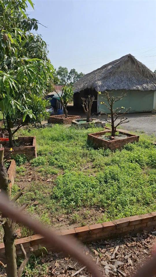 Bán gấp đất 1.400m² quy hoạch kdc  gần bv xuyên á  đường xe tải  giá chỉ 5,5 tỷ