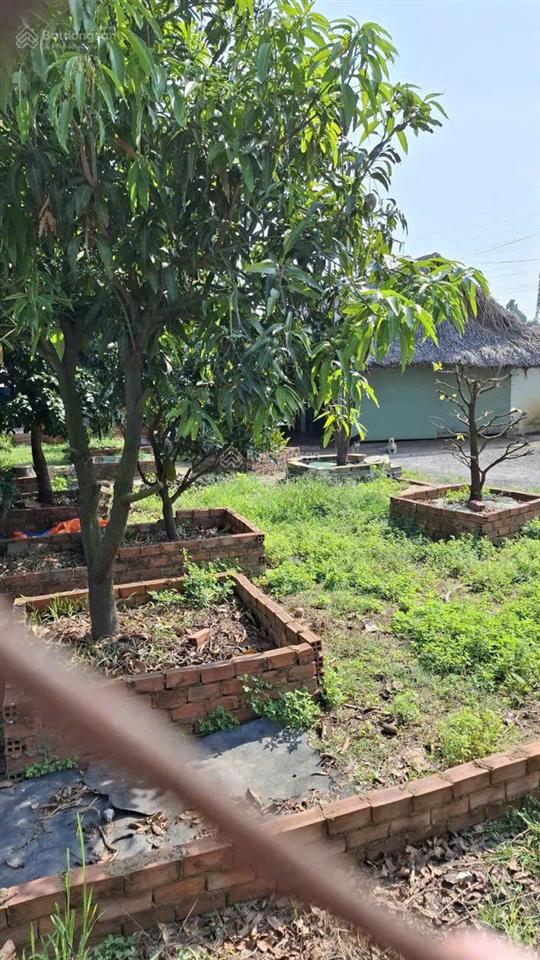 Bán gấp đất 1.400m² quy hoạch kdc  gần bv xuyên á  đường xe tải  giá chỉ 5,5 tỷ