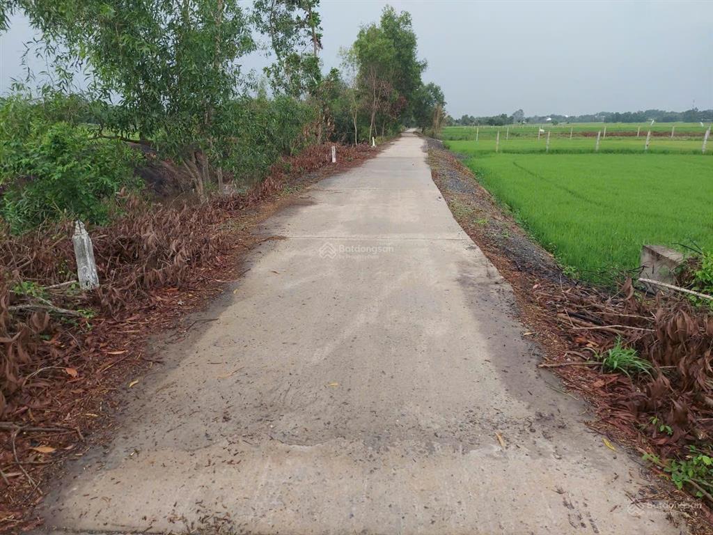Hiếm có khó tìm! 4907.5m² đất vườn mặt tiền kênh đức lập, ô tô tới đất, chỉ 7,85 tỷ