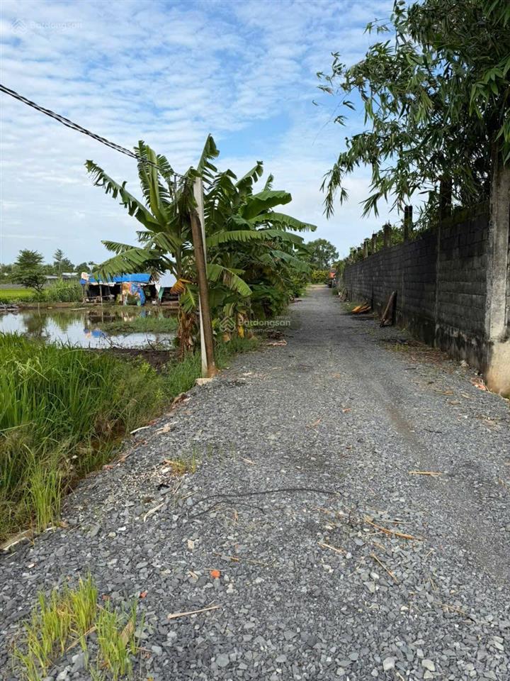 Bán 2.572m² đất tân phú trung. phủ hồng toàn bộ. chỉ 2,6 triệu/m²