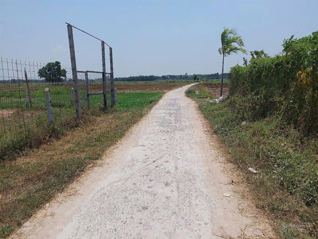 Bán gấp đất 3.044m2 có thổ cư xã thái mỹ, ô tô tới đất, chỉ 3,5 tỷ