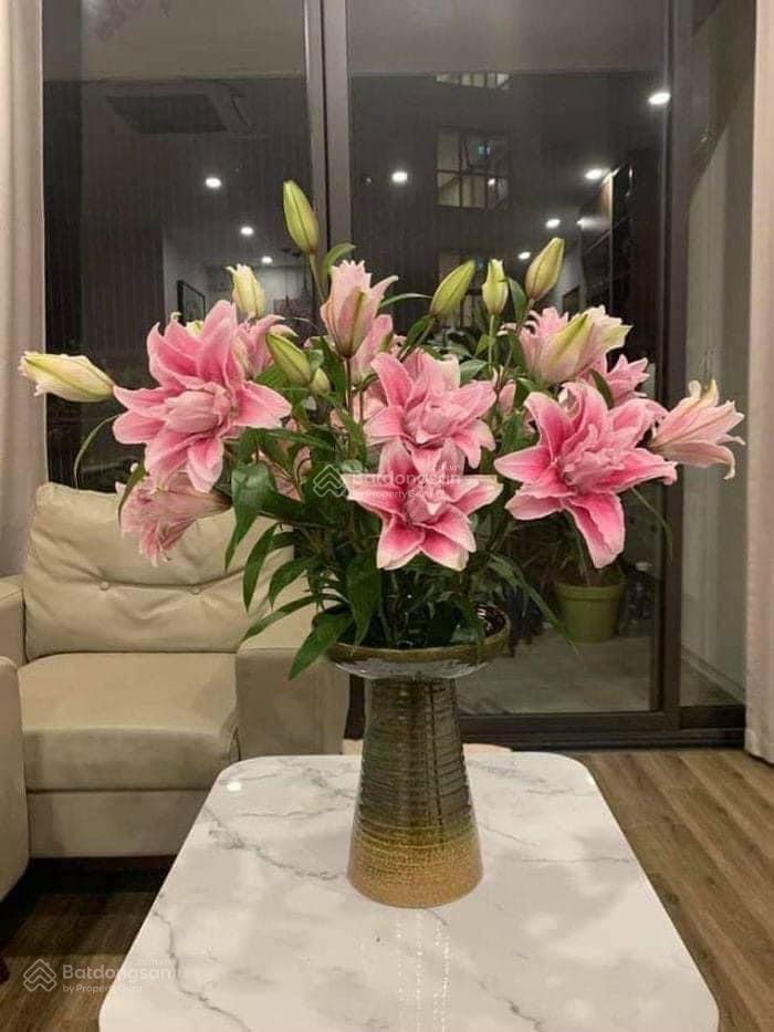 Chính chủ bán căn penthouse phố hoàng đạo thuý  274m2. giá rẻ 0904 897 ***
