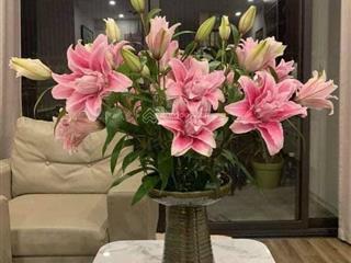 Chính chủ bán căn penthouse phố hoàng đạo thuý  274m2. giá rẻ 0904 897 ***