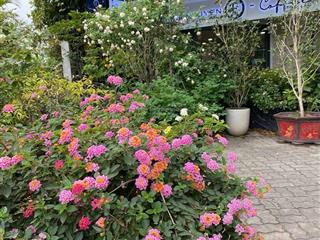 Bán nhà mặt phố 90 tỷ, 220m2 tại vinhomes thăng long, đẹp, nhiều tiện ích