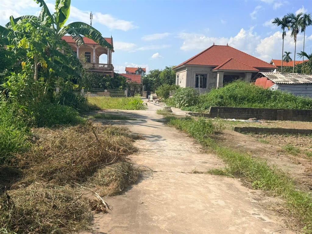 Chính chủ bán mảnh đất 80m phú xuyên, hà nội