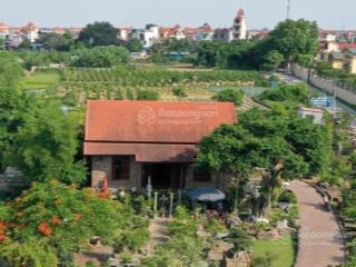 Bán đất hưng đạo, quốc oai, hà nội
