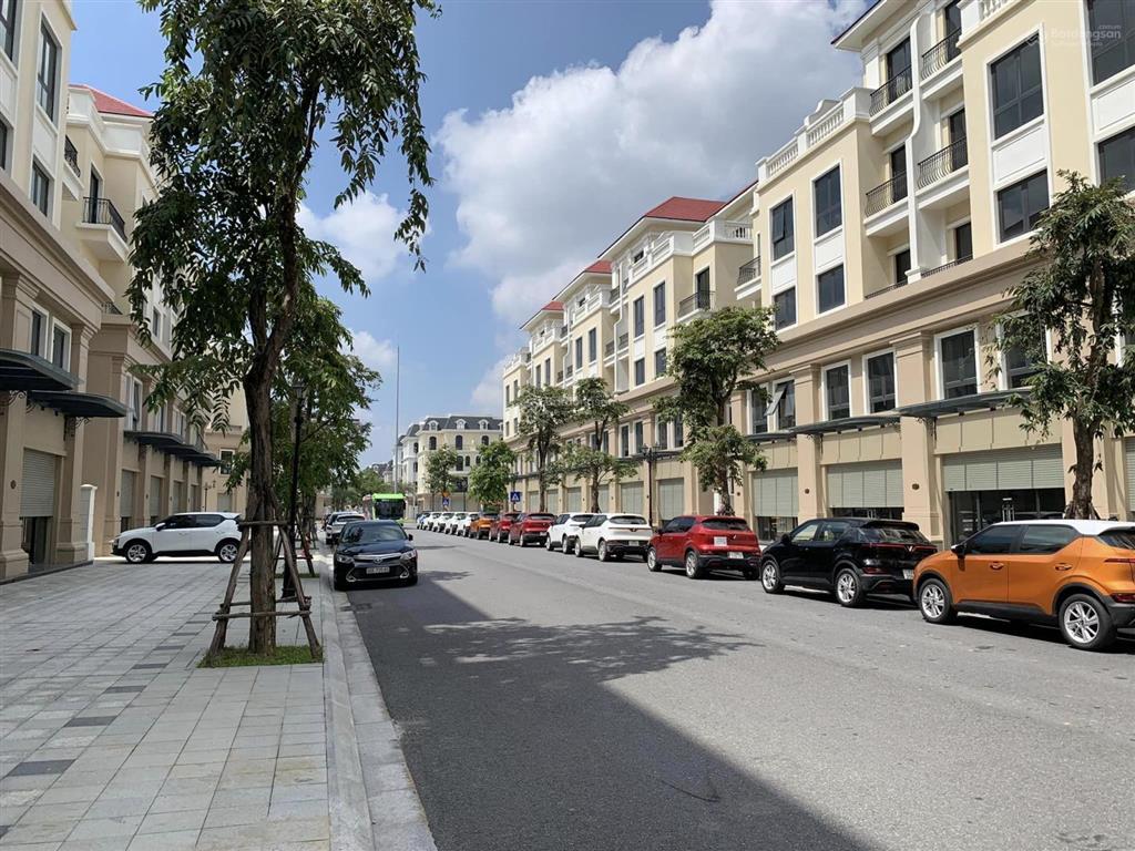 Bán gấp shophouse ddd2 vinhomes ocean park 2 mặt đường 30m, sổ đỏ chính chủ (12.5 tỷ)