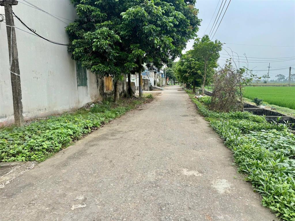 70m2 lô góc tam hưng  chính chủ cấn bán gấp!!!
sở hữu ngay 70m2 đất thổ cư tại "vùng trũng" giá rẻ