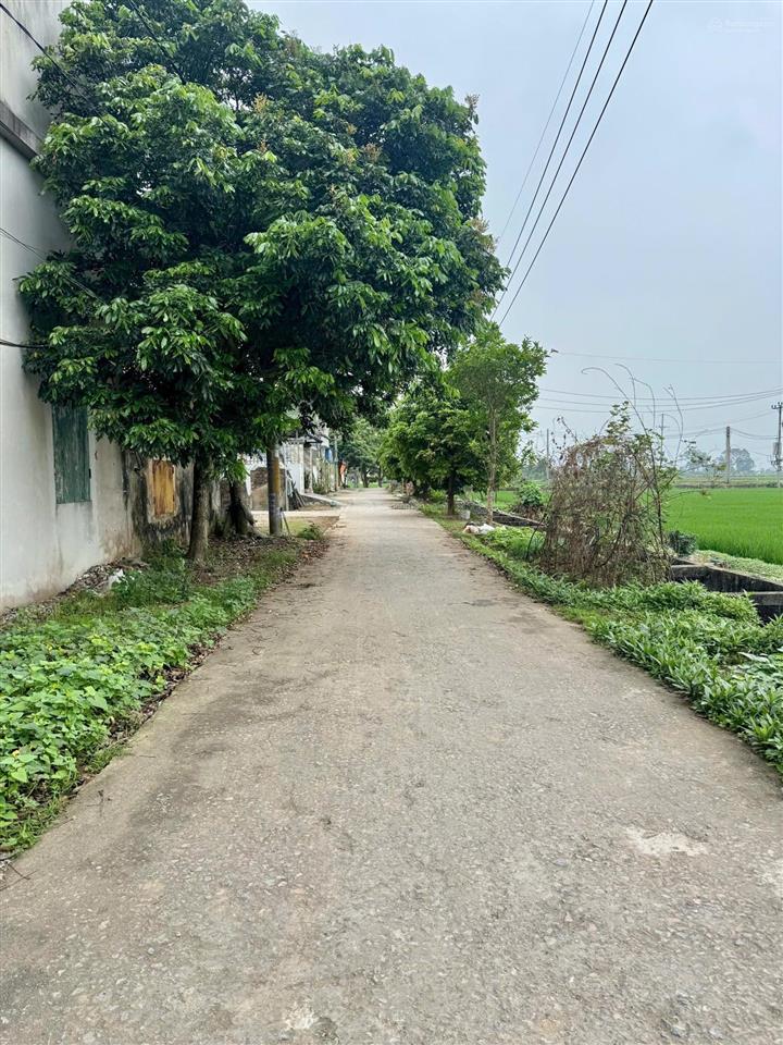 70m2 lô góc tam hưng  chính chủ cấn bán gấp!!!
sở hữu ngay 70m2 đất thổ cư tại "vùng trũng" giá rẻ