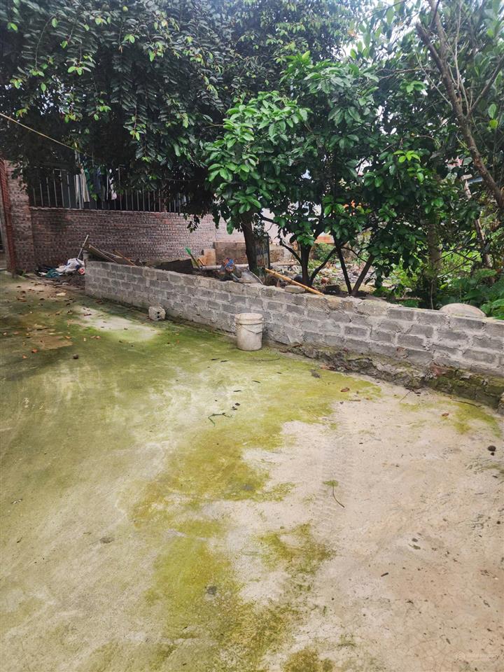 Cắt lỗ!!! 80m2, sổ đỏ riêng ứng hòa, gần cienco5 chỉ 1.45 tỷ