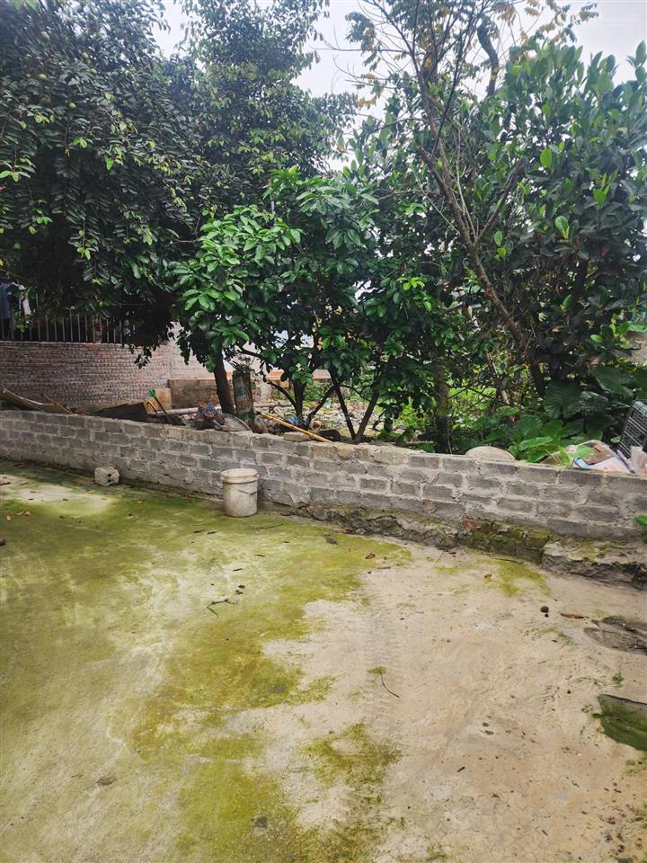 Cắt lỗ!!! 80m2, sổ đỏ riêng ứng hòa, gần cienco5 chỉ 1.45 tỷ