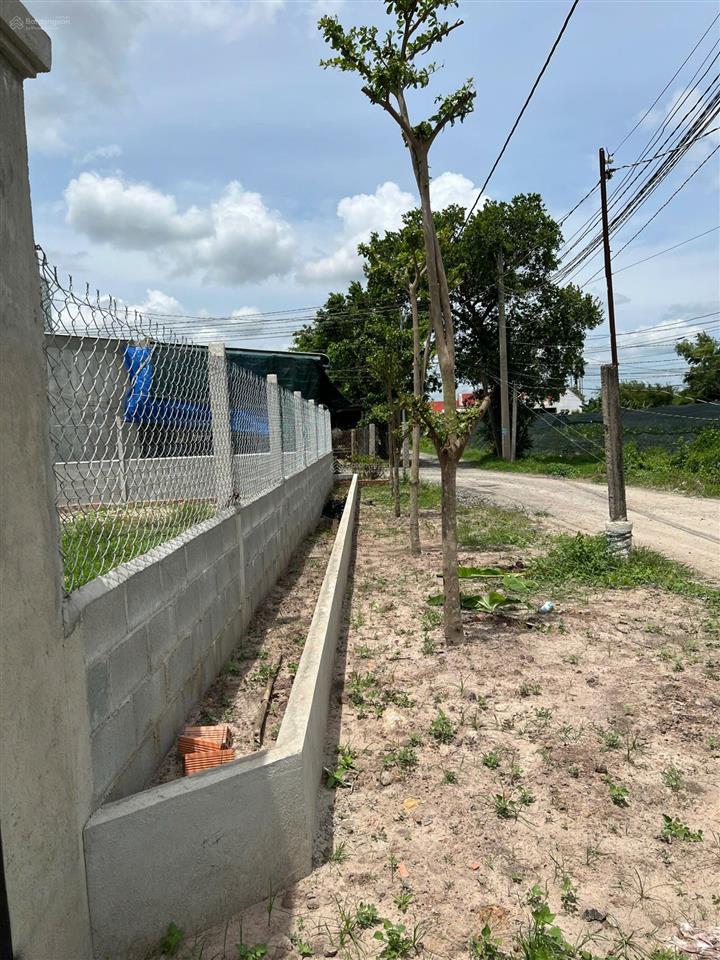 Cần bán đất xã hậu nghĩa, tây ninh (cũ là ấp tân mỹ long an)