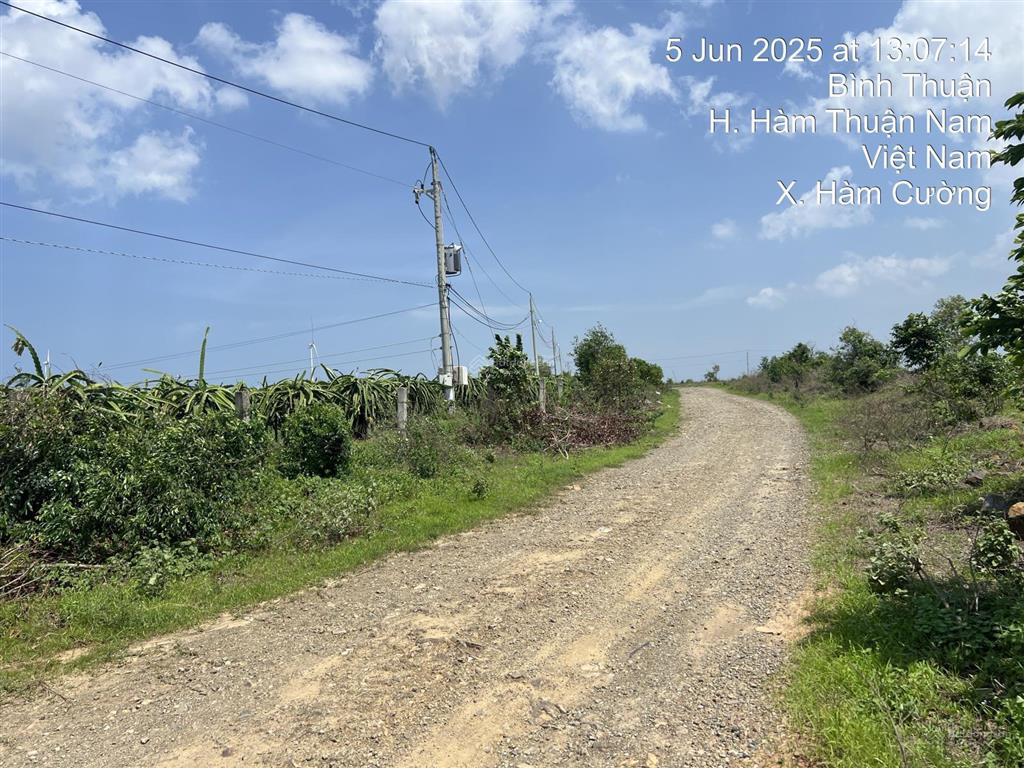 Bán trang trại, khu nghỉ dưỡng tại xã hàm kiệm, 23,5 tỷ, 103000 m2, chính chủ uy tín
