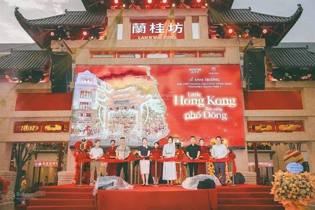 Phố trung hoa  vinhomes green city, 6tỷ vnd, 75m2 tặng xe vf3