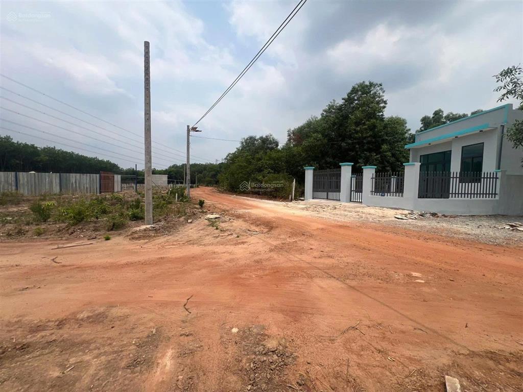 Bán đất an điền sát bên vành đai 4 10x53m, giá 2tỷ200