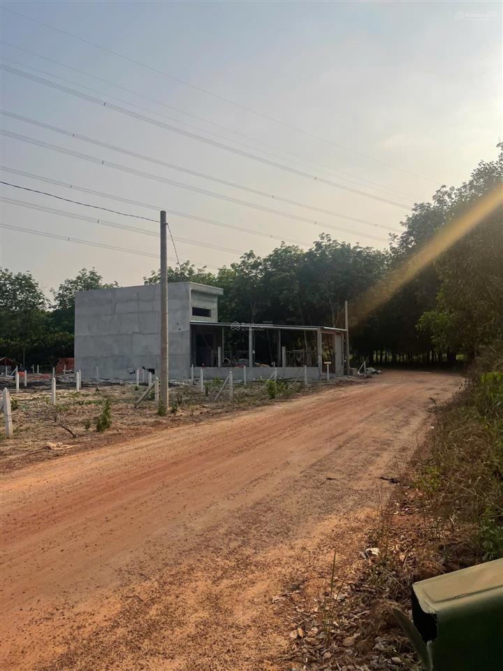 Bán đất an điền sát bên vành đai 4 10x53m, giá 2tỷ200