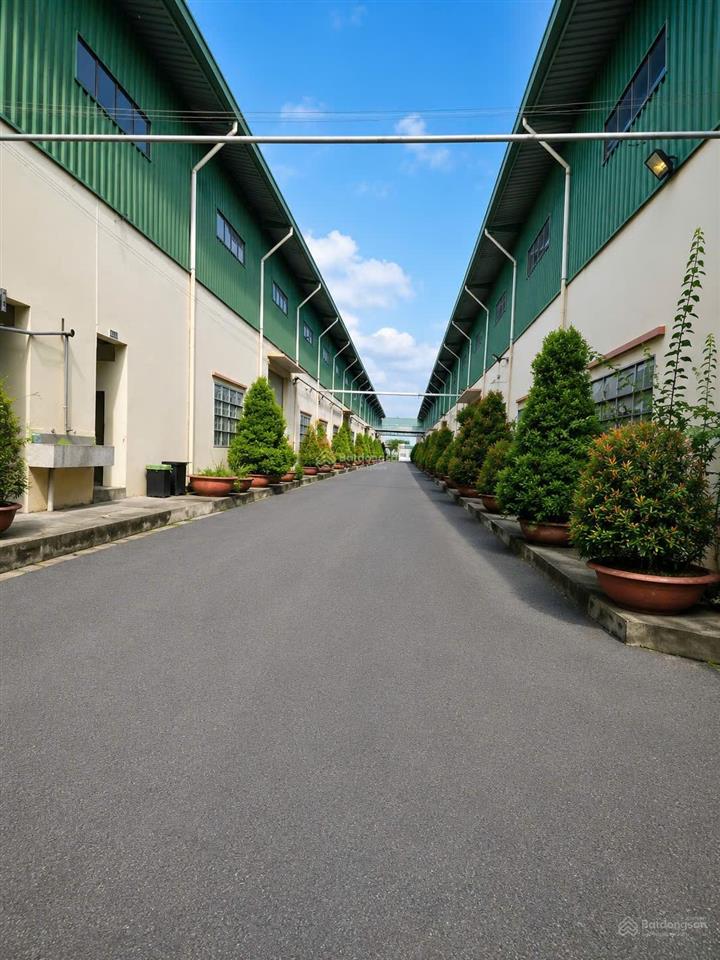 Cho thuê xưởng  2000m2  30.000m2  kcn hải sơn  nam thuận  tân đô và ngoài kcn