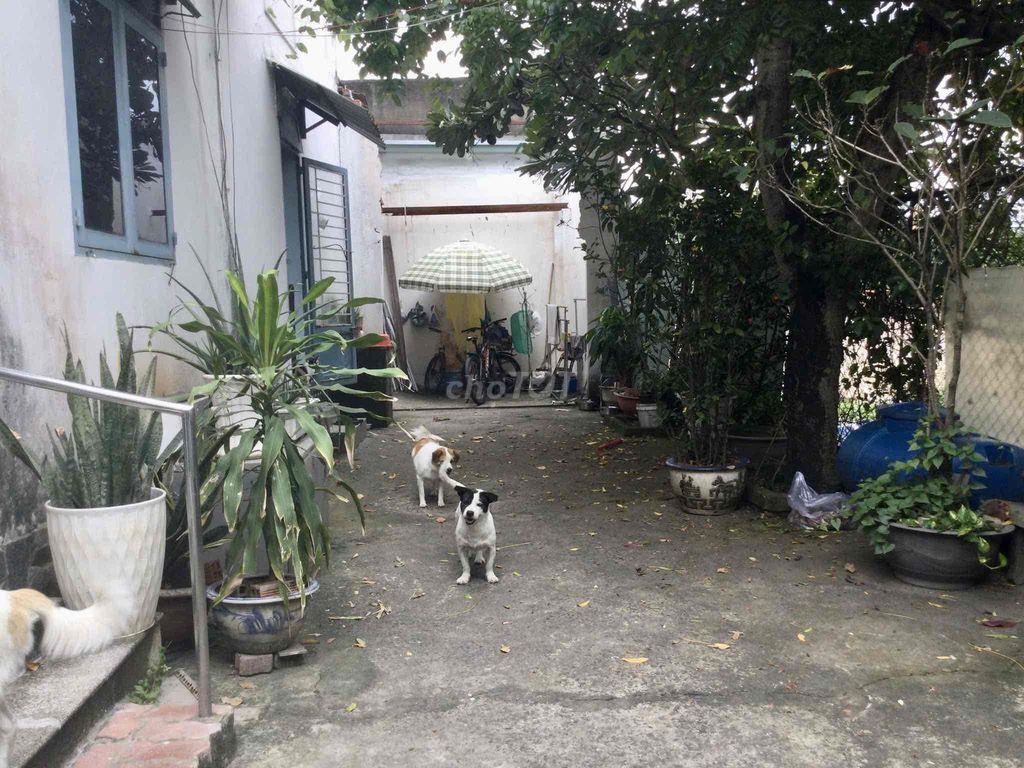 Bán nhà Lô A Làng Đại Học, Phước Kiển
