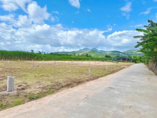 Bán lô đất thổ cư dt 156m2 đường bê tông 6m thành hồ diên phước đi vào chỉ 50m giá chỉ 5tr8/m2