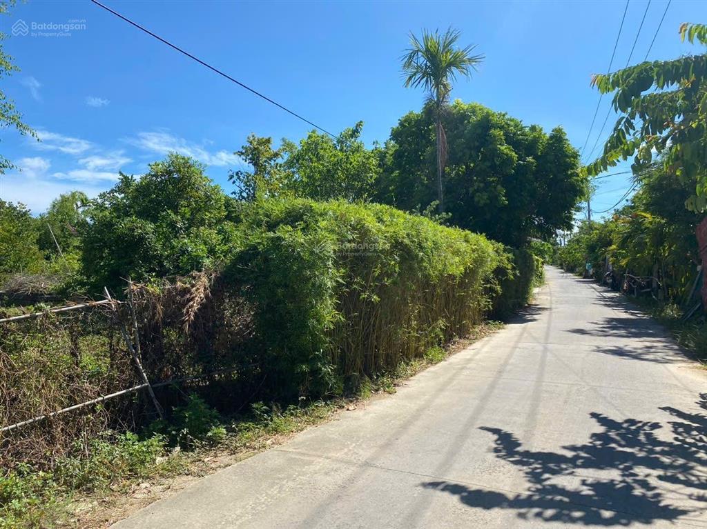 Bán đất lớn view hồ tại cẩm thanh, 2867m2, giá tốt hot!