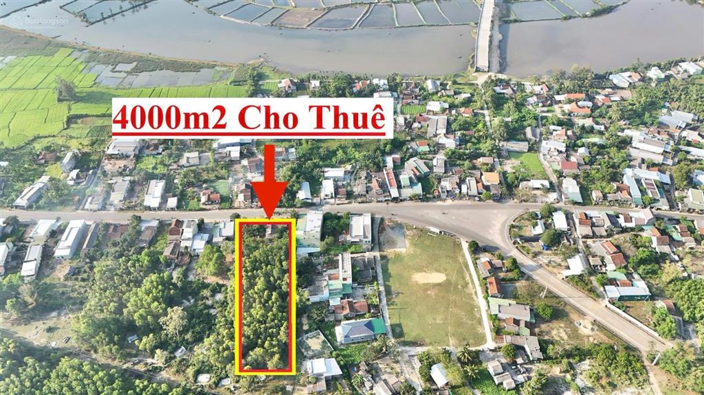 Cho thuê đất kèm nhà 4.000m2 gần tuyến đường ven biển dung quất  sa huỳnh, biển châu tân