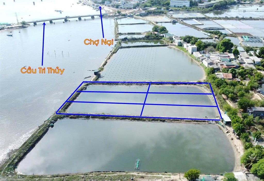 Đất view đầm nại, phường ninh chử