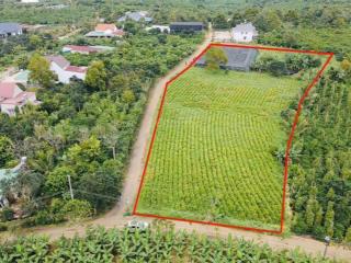 Lô tại bảo lâm 2. vị trí sát bên khu chợ mới lộc đức  bảo lâm 2 mới (750tr)