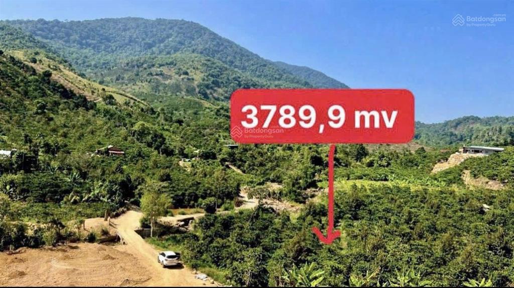 1,39 tỷ cho gần 3,8 sào 2 mặt đường phía sau là suối  thôn 10 lộc nam bảo lâm  lâm đồng