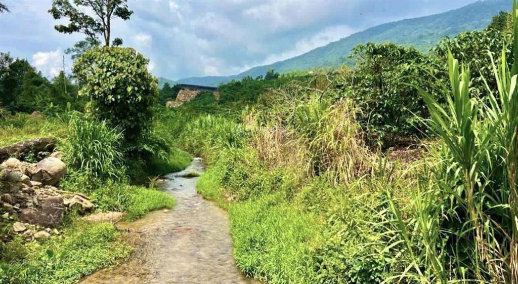 1,39 tỷ cho gần 3,8 sào 2 mặt đường phía sau là suối  thôn 10 lộc nam bảo lâm  lâm đồng