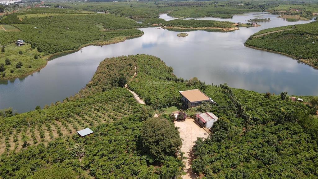 2,1 ha sẵn nhà, 60m mặt tiền, 400m mặt hồ sẵn vườn cà phê cây ăn trái giá chỉ 9,5 tỷ