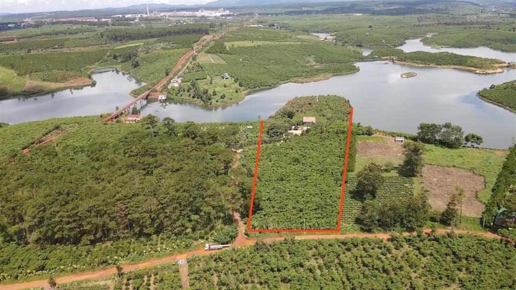 2,1 ha sẵn nhà, 60m mặt tiền, 400m mặt hồ sẵn vườn cà phê cây ăn trái giá chỉ 9,5 tỷ