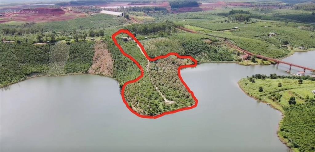 2,1 ha sẵn nhà, 60m mặt tiền, 400m mặt hồ sẵn vườn cà phê cây ăn trái giá chỉ 9,5 tỷ