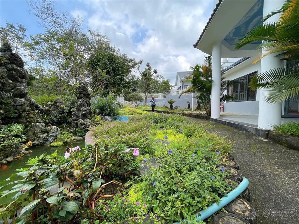 5,5 tỷ  biệt thự sân vườn  phường 2 bảo lộc 431m² (19mx22,4m) có 120m² thổ cư