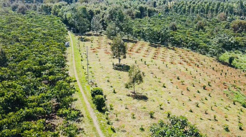 3121m2 đất vườn tân lạc  lâm đồng  có 70m mặt tiền đường ô tô (chỉ 1,7 tỷ)