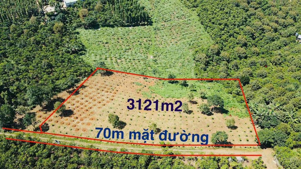 3121m2 đất vườn tân lạc  lâm đồng  có 70m mặt tiền đường ô tô (chỉ 1,7 tỷ)