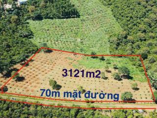 3121m2 đất vườn tân lạc  lâm đồng  có 70m mặt tiền đường ô tô (chỉ 1,7 tỷ)