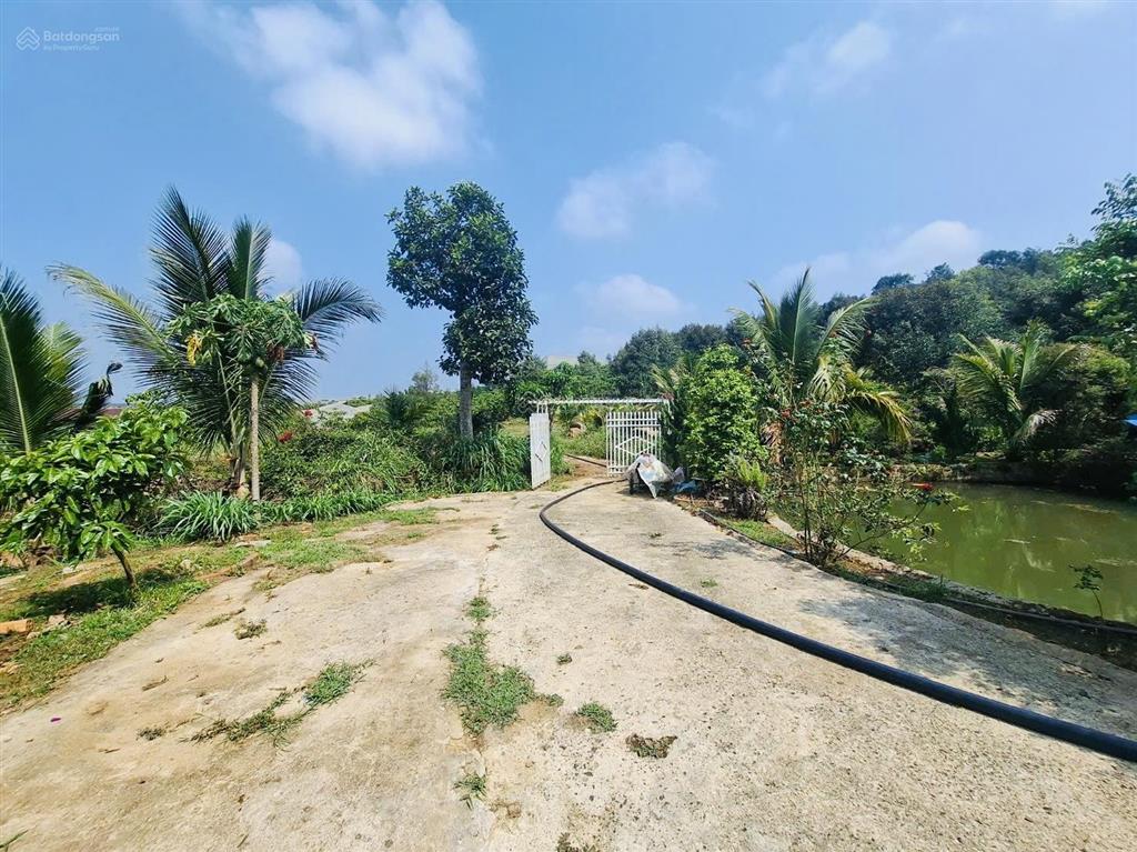 1,4ha  nhà vườn lộc đức  lâm đồng  sẵn 400m2 thổ cư. ao, suối cây ăn trái chỉ 4,9 tỷ