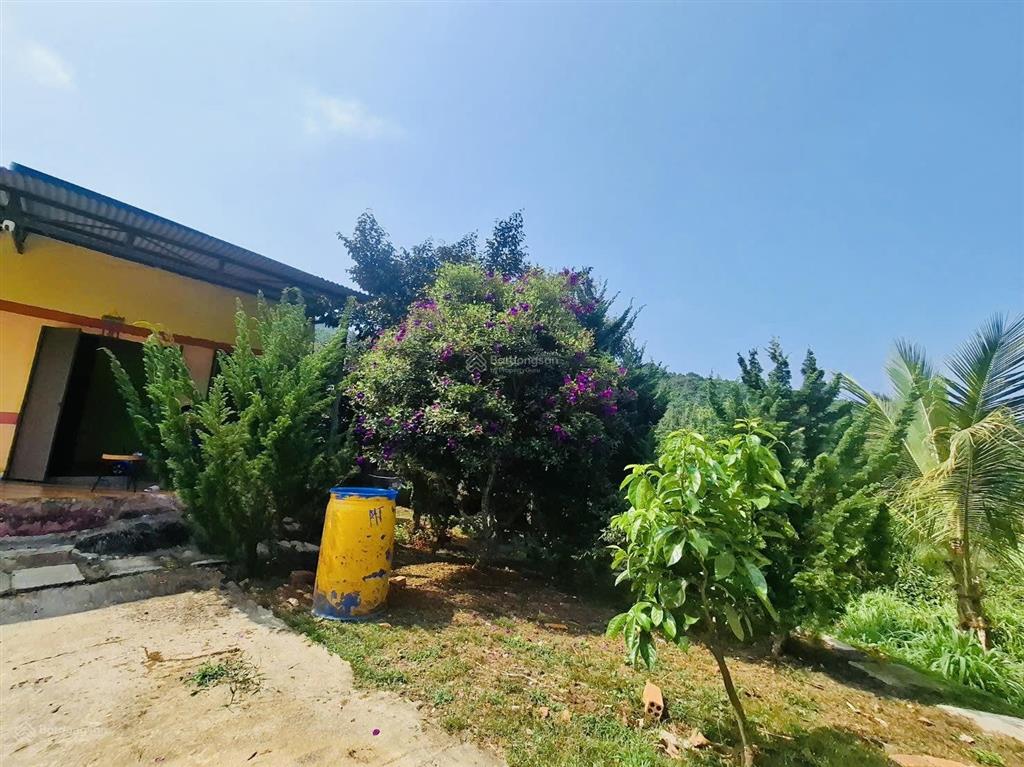 1,4ha  nhà vườn lộc đức  lâm đồng  sẵn 400m2 thổ cư. ao, suối cây ăn trái chỉ 4,9 tỷ