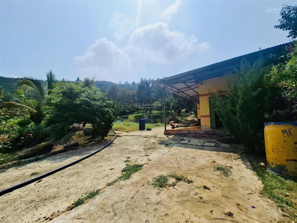 1,4ha  nhà vườn lộc đức  lâm đồng  sẵn 400m2 thổ cư. ao, suối cây ăn trái chỉ 4,9 tỷ